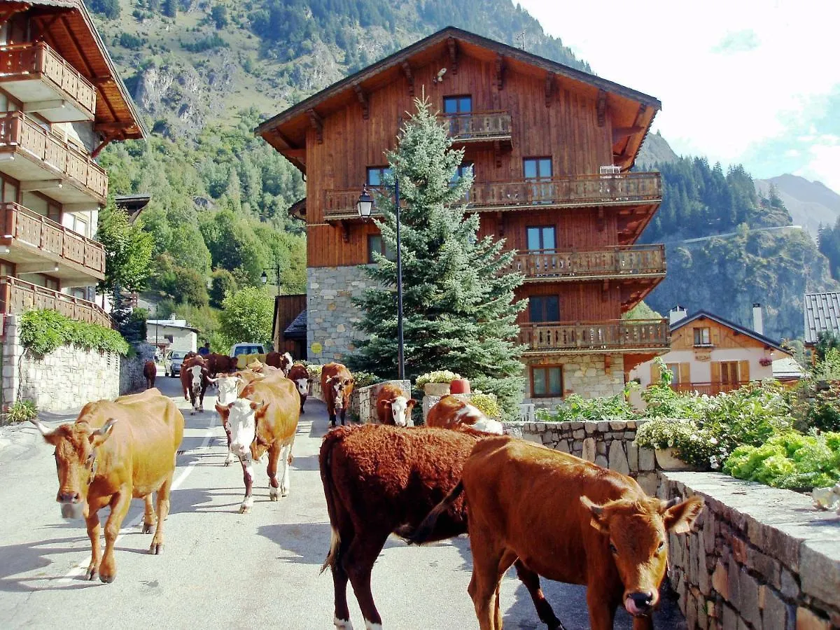 Chalet Bouquetin- Cerf Apartment La Plagne France